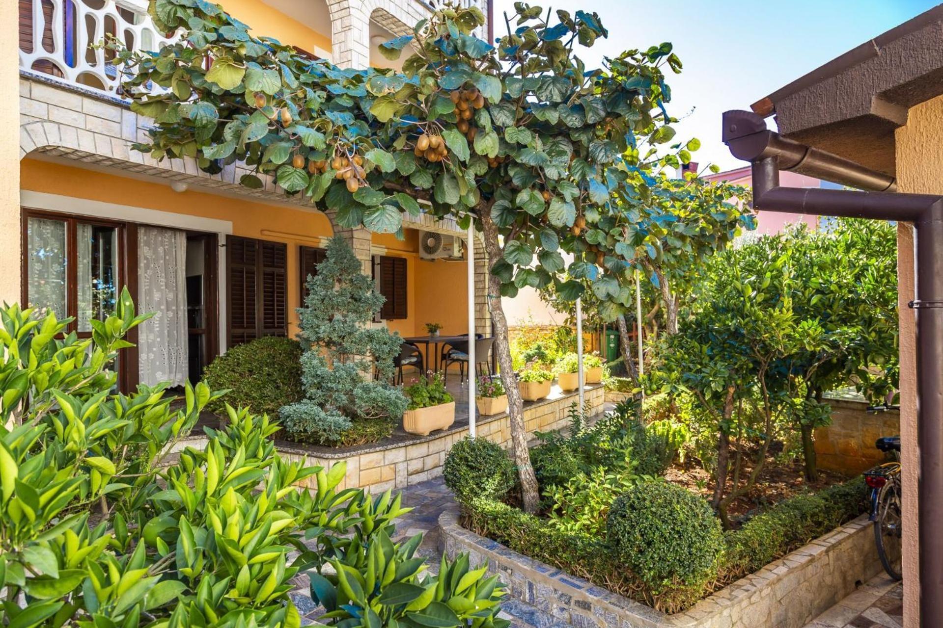 Apartments Mir 法扎纳 外观 照片